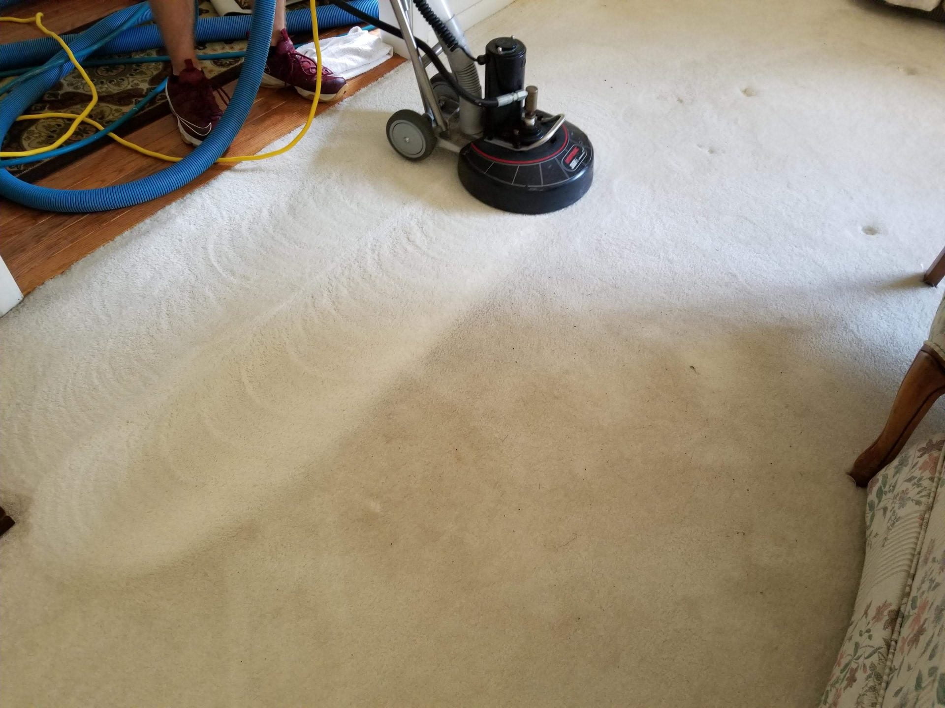 Vacuum Carpet Cleaning