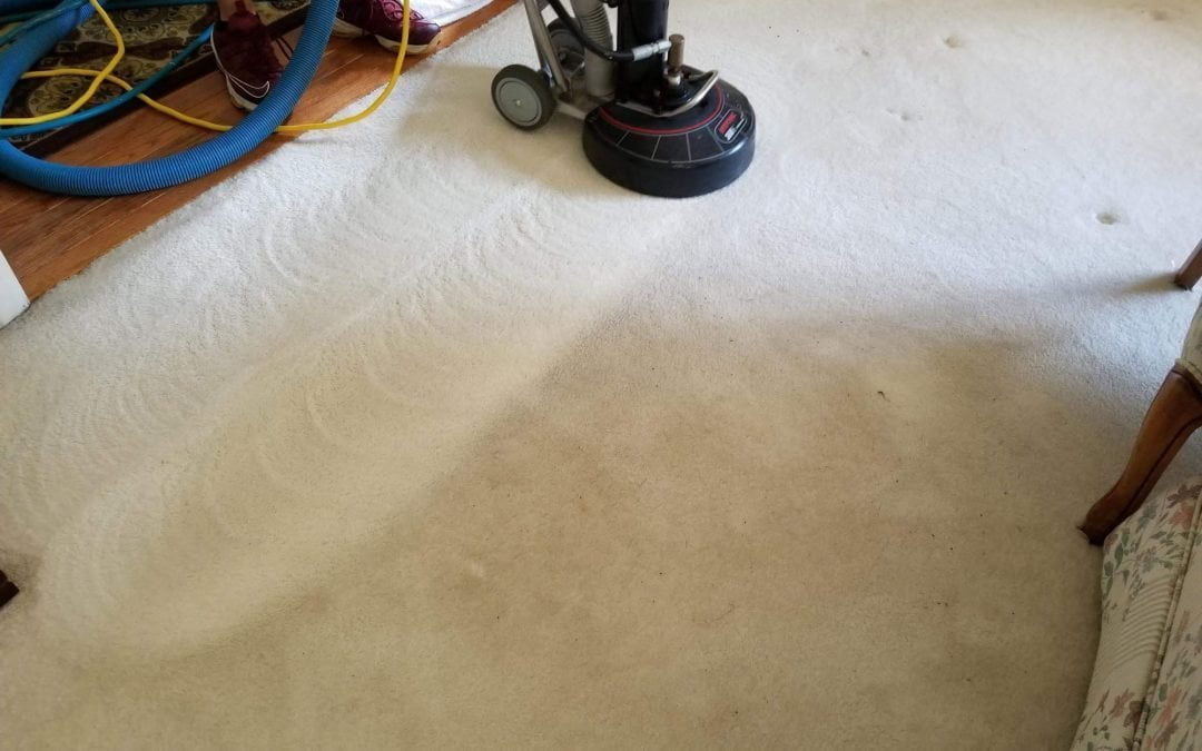 Benefits of Using a Carpet Cleaner
