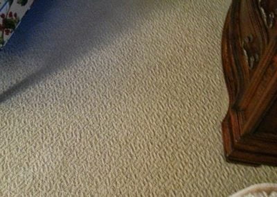 Stain-Free Carpet | Carpet Cleaning Services in Indiana