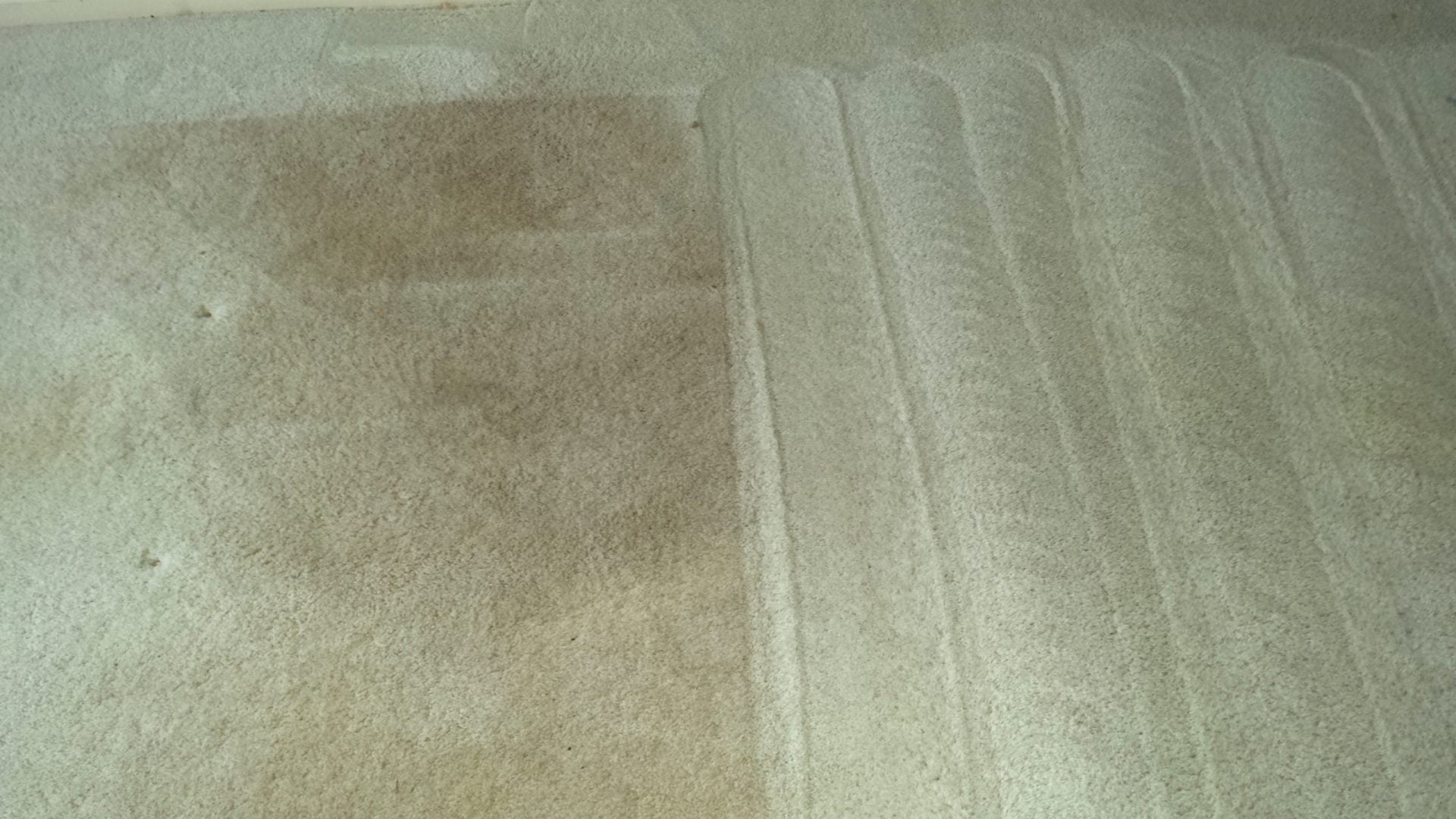 Spot Cleaning Carpet