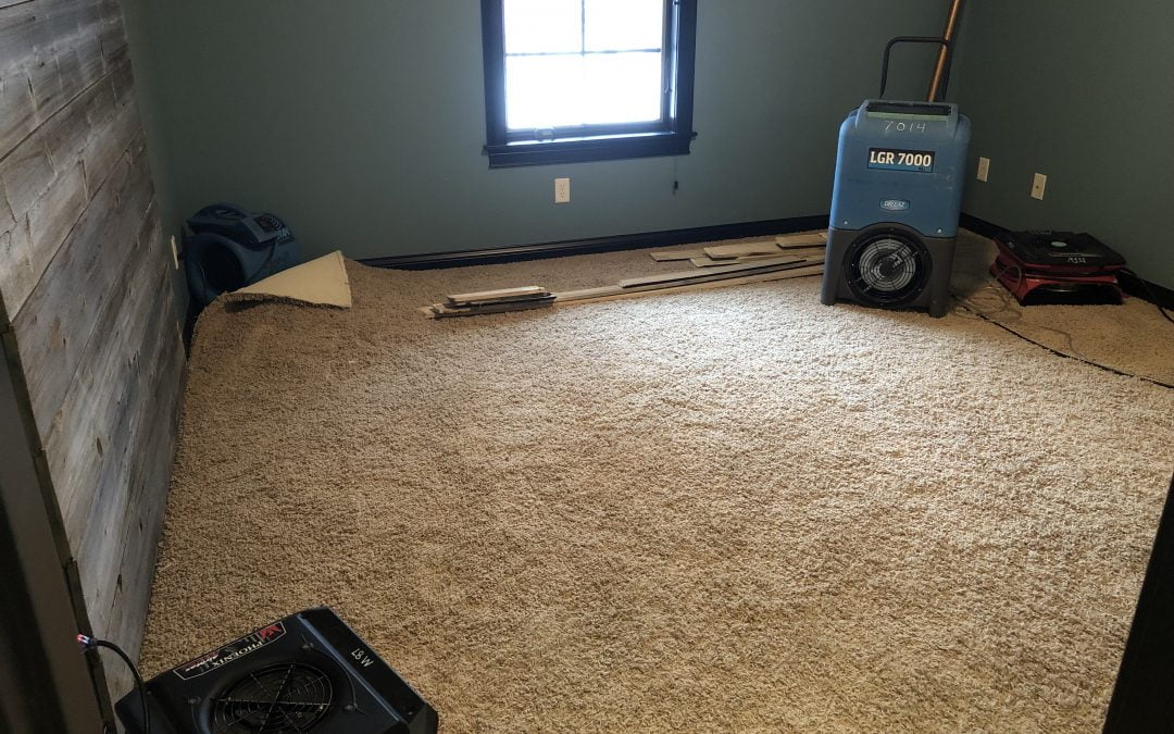 Replacing Carpet