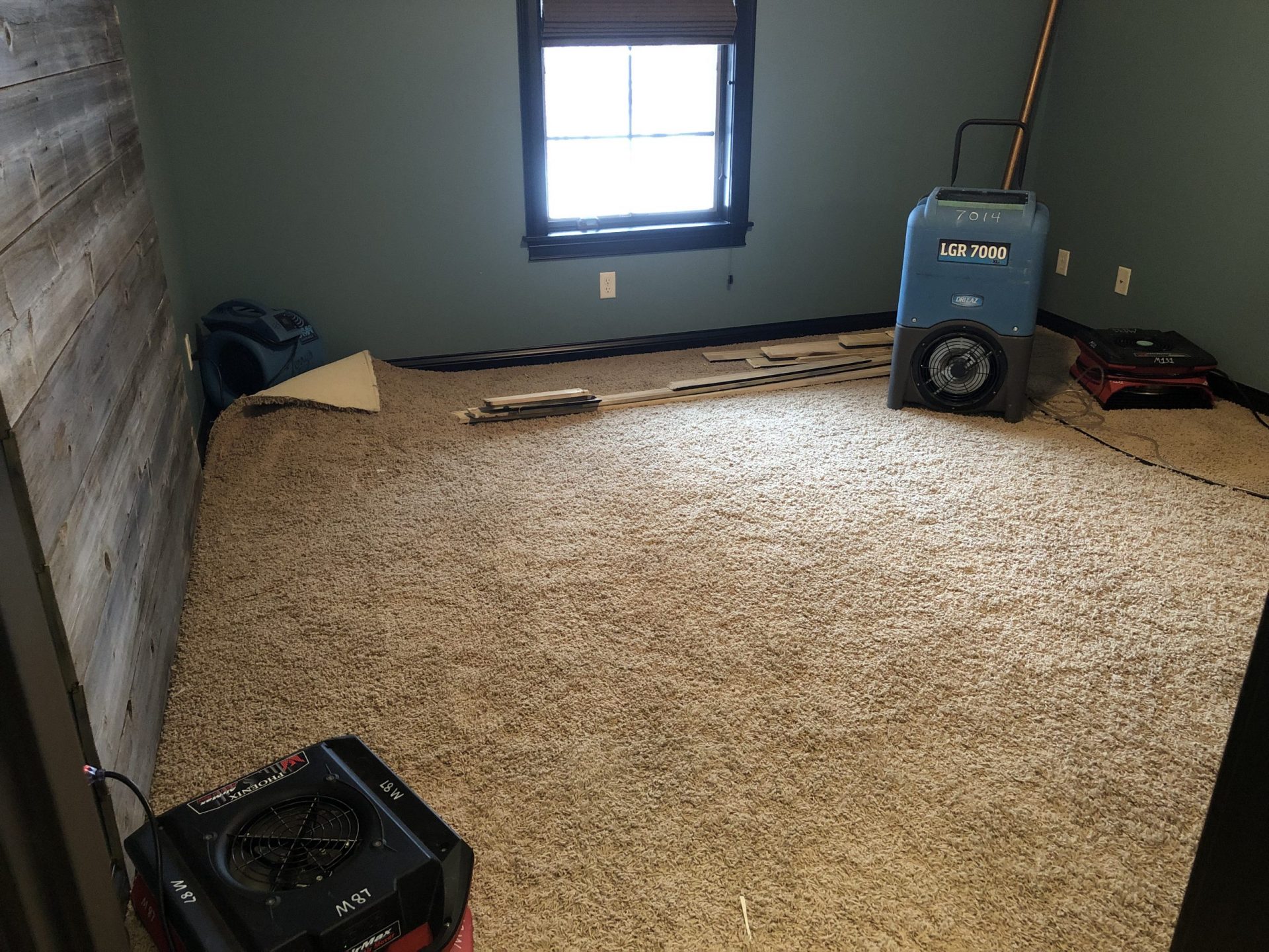 Replacing Carpet