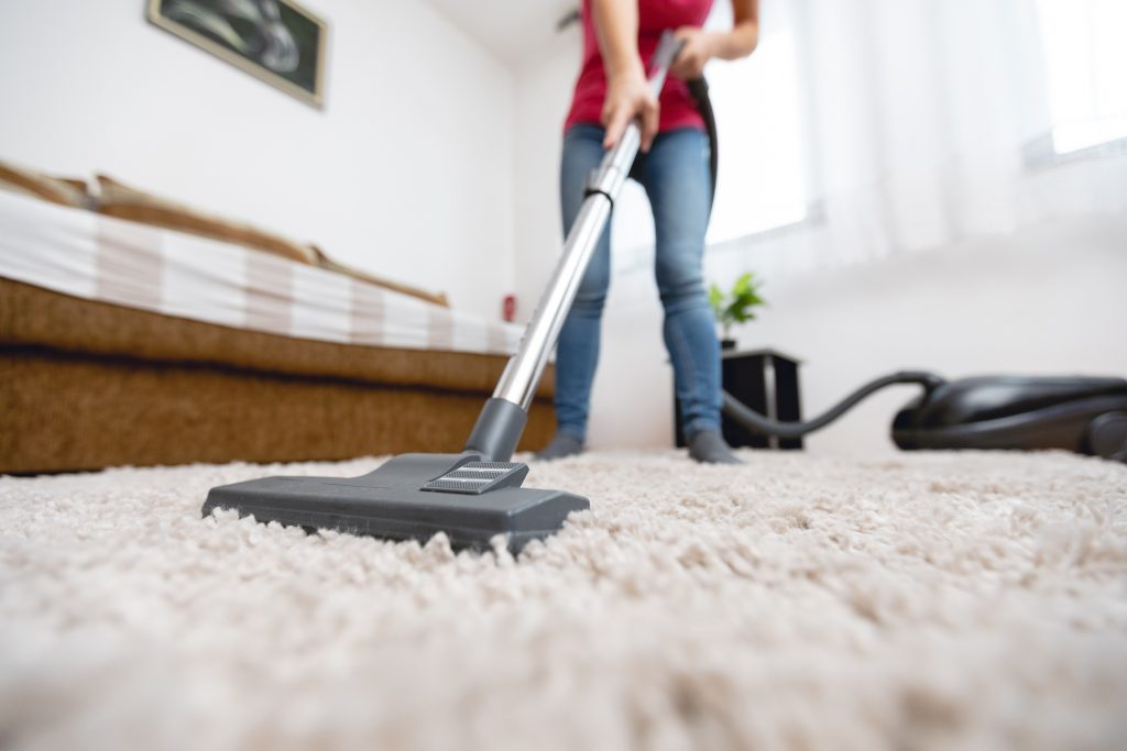 Best Carpet Cleaning Companies