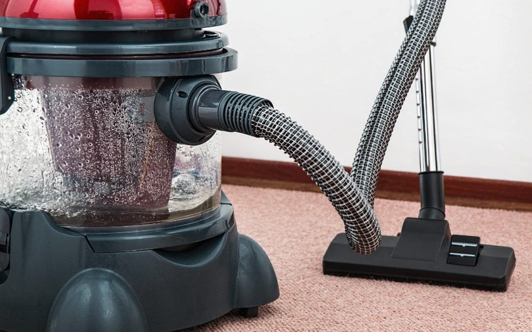 Professional Carpet Steam Cleaner