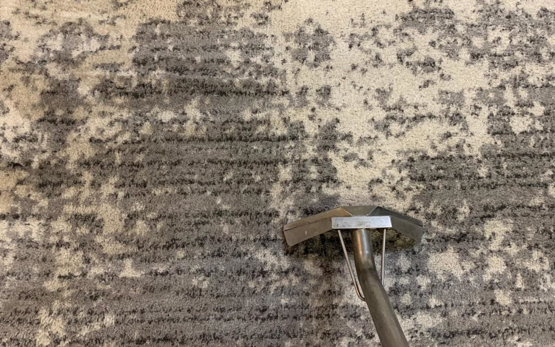 Carpet Cleaner for Mold