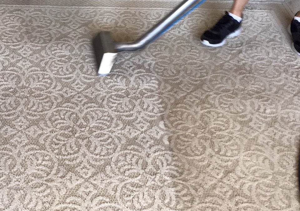 Carpet Cleaner Service Near Me