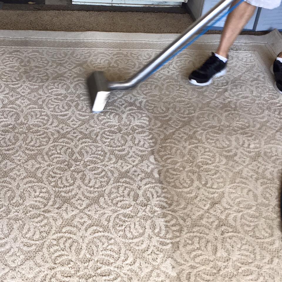 Carpet Cleaning for Preventing Mold