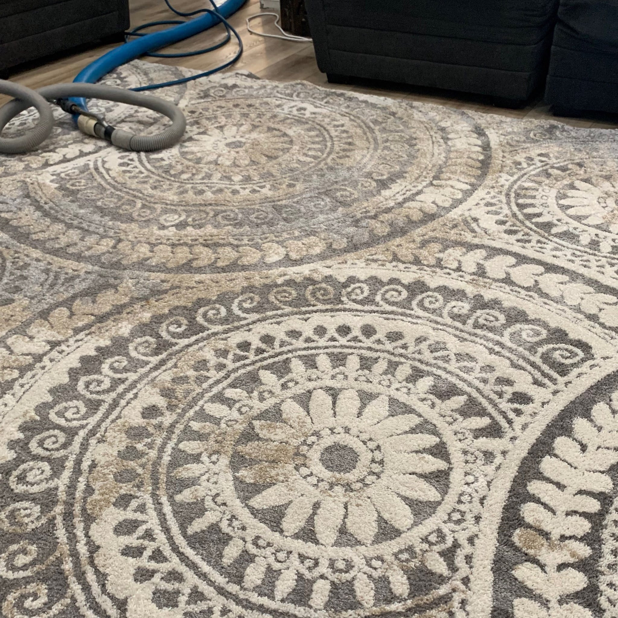 Area Rug Cleaning Service on Going