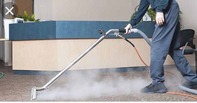 Steam Cleaning for Removing Urine Smell