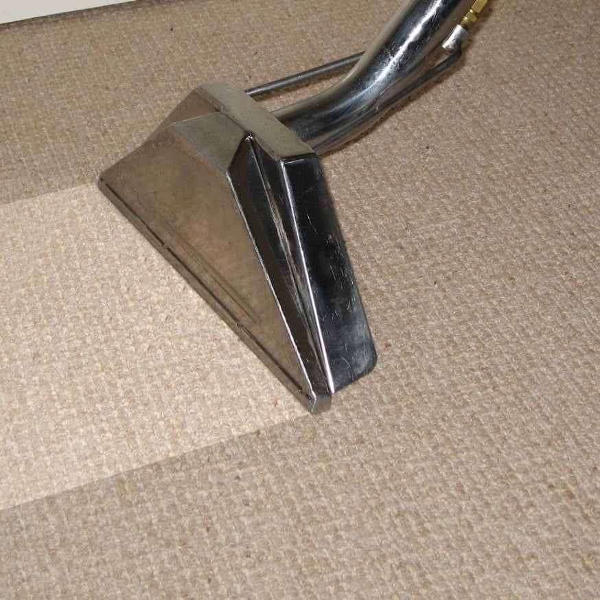 Carpet Grease Spots Cleaning 