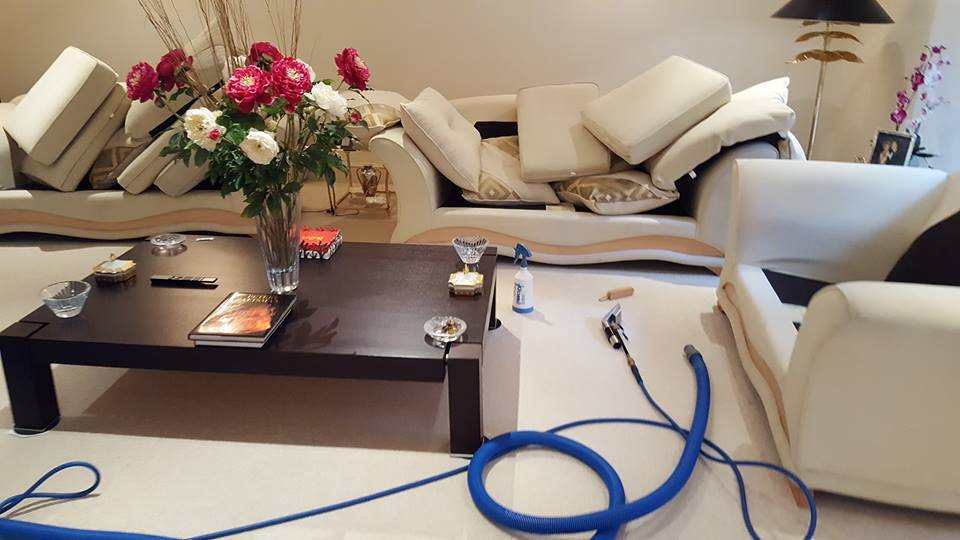 Benefits of Hiring a Professional Carpet Cleaner