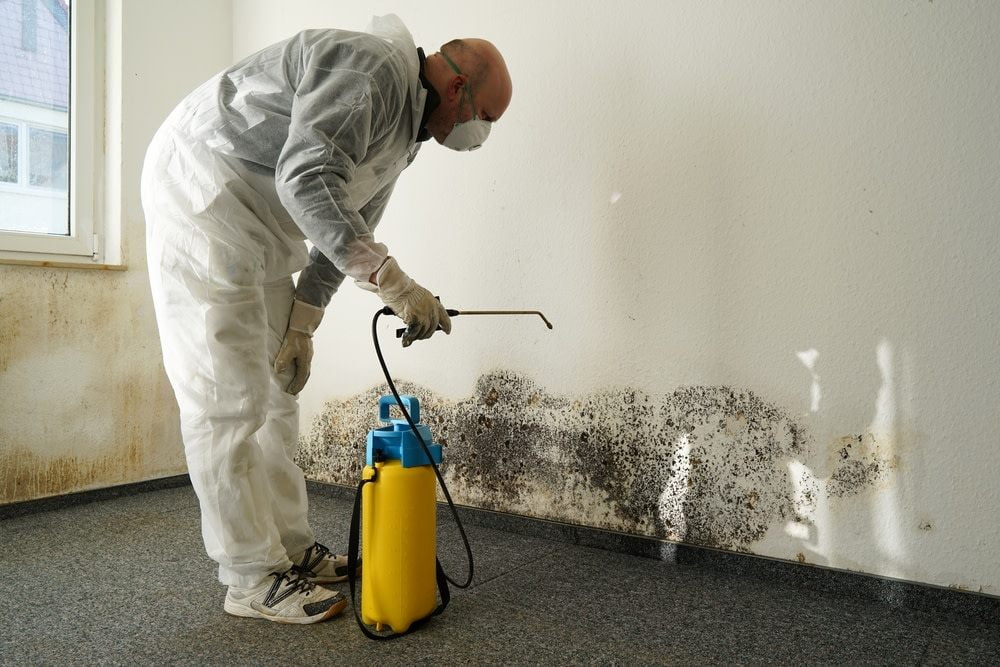 How to Get Rid of Mold Under Carpet