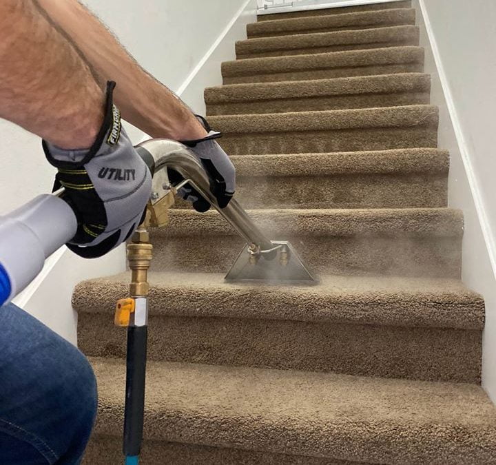 Get Mildew Smell Out of Carpet 