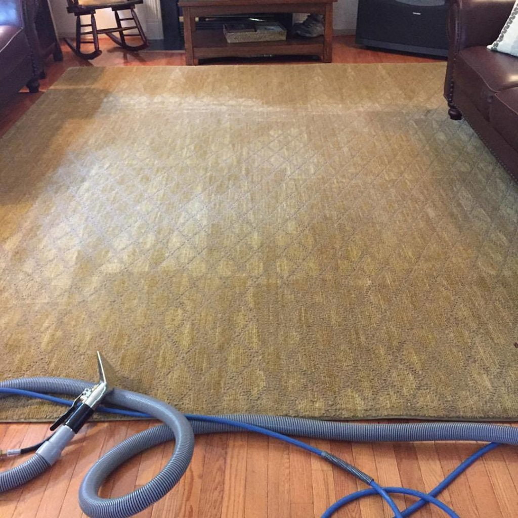 Residential Carpet Cleaning Services