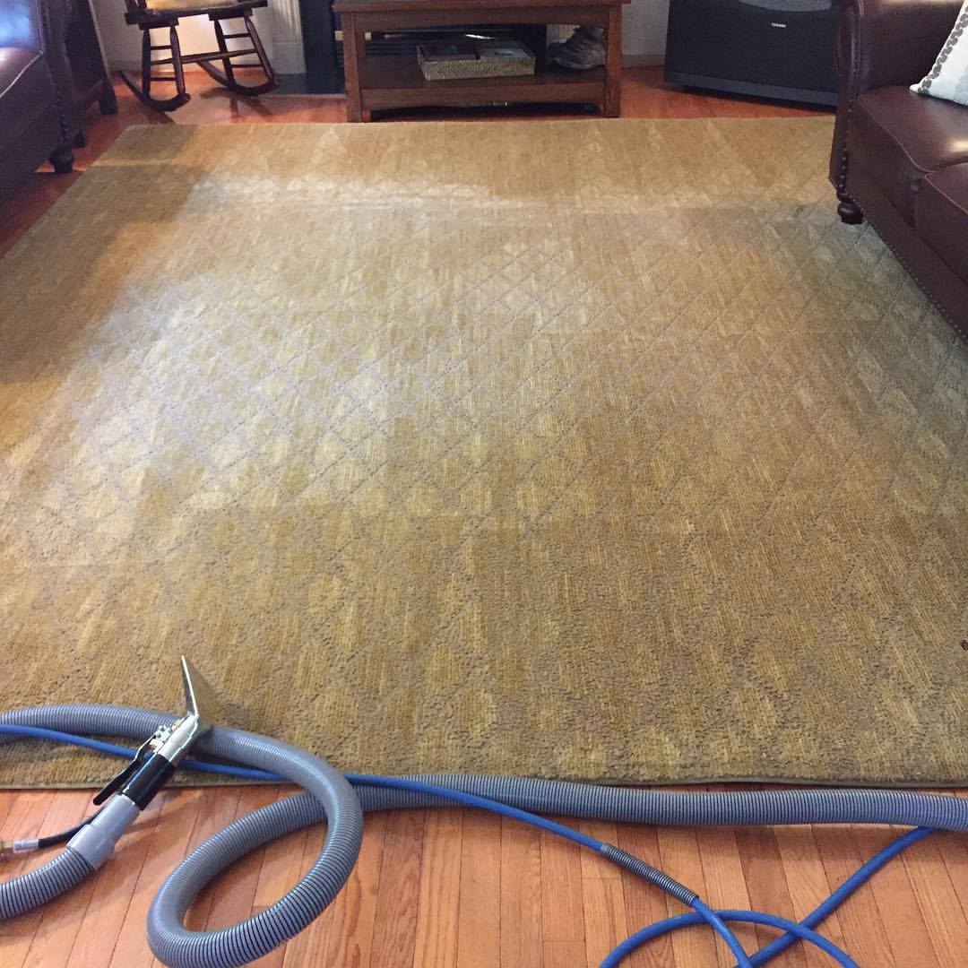 Carpet Coffee Stain Removal