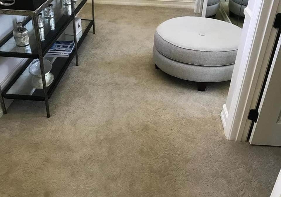 How to Choose the Right Residential Carpet Cleaning Services
