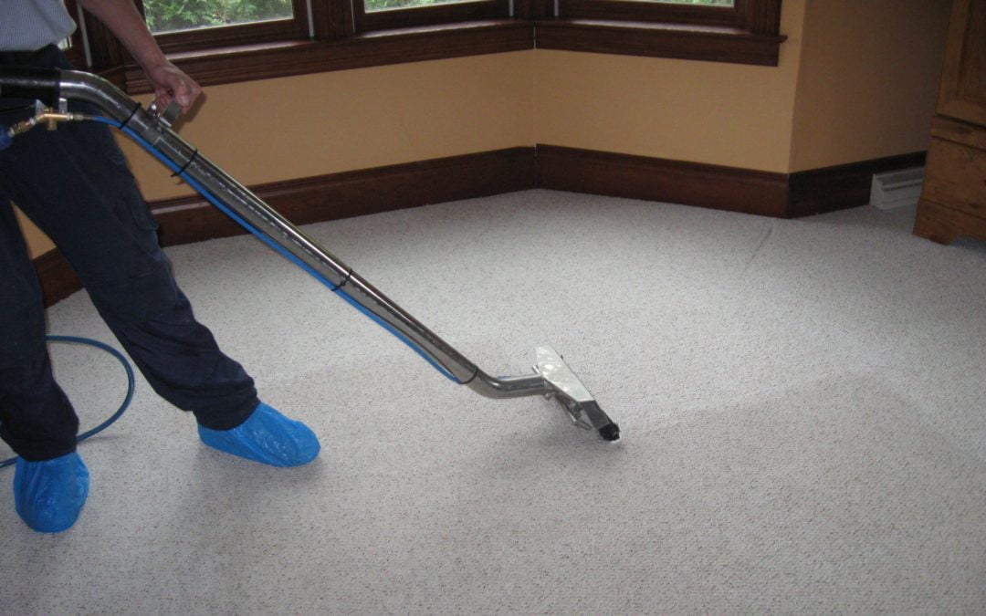 Carpet Cleaning on Going