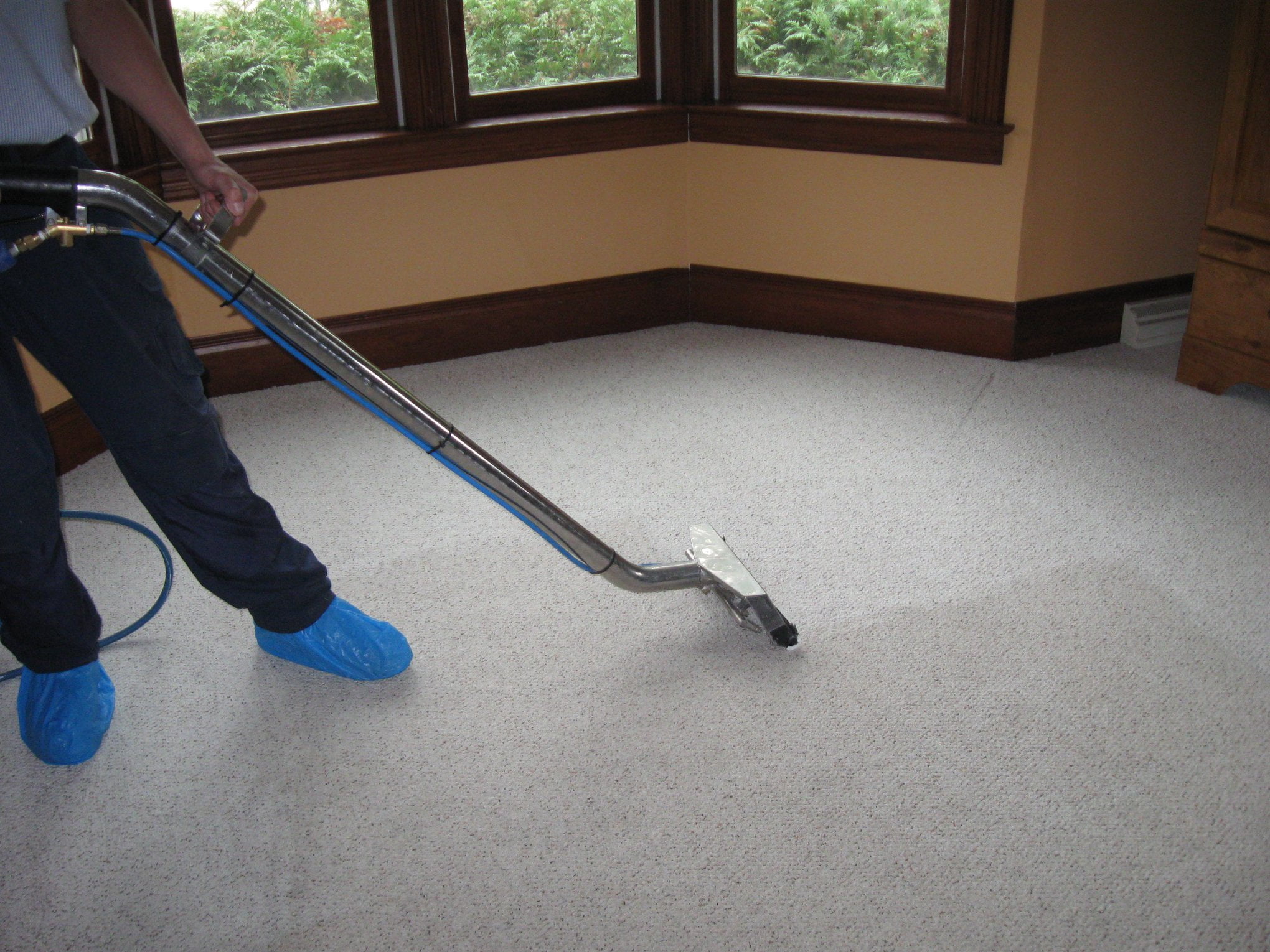 Carpet Cleaning on Going