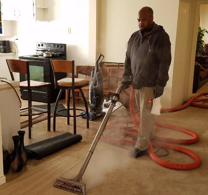 Carpet Cleaning Service Provider