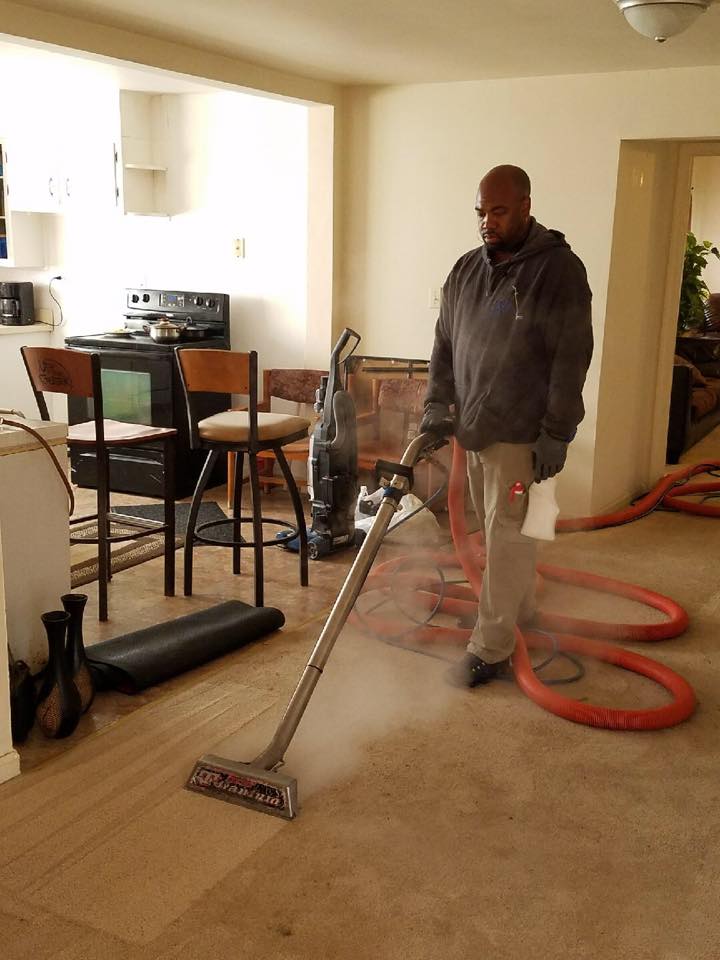 The Best Carpet Cleaning Company