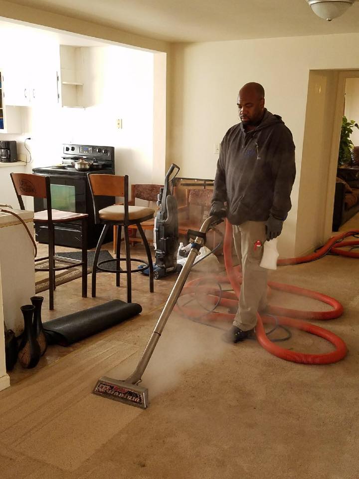 Professional Carpet Cleaners Near Me