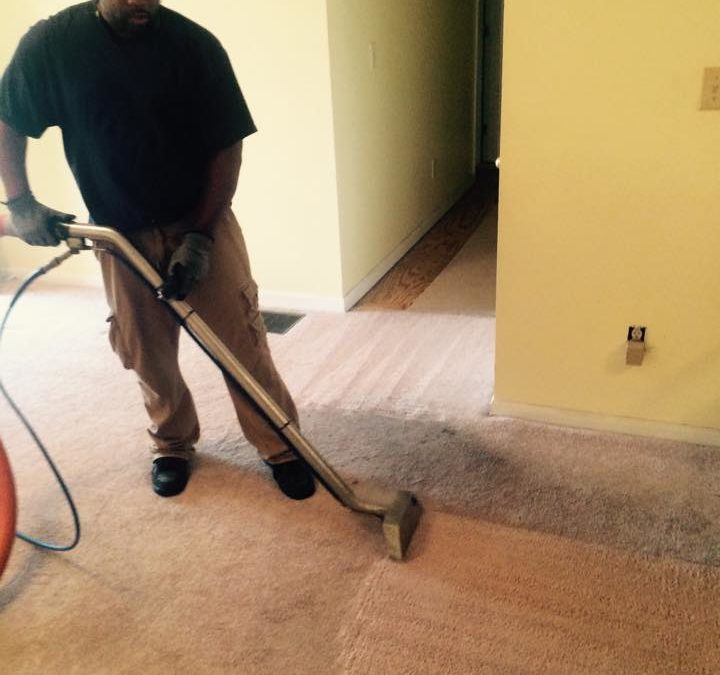 Hiring a Carpet Cleaner Professional