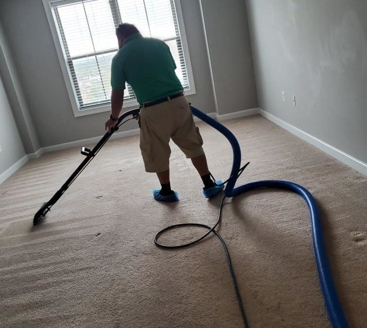 Remove Urine Smell from Carpet