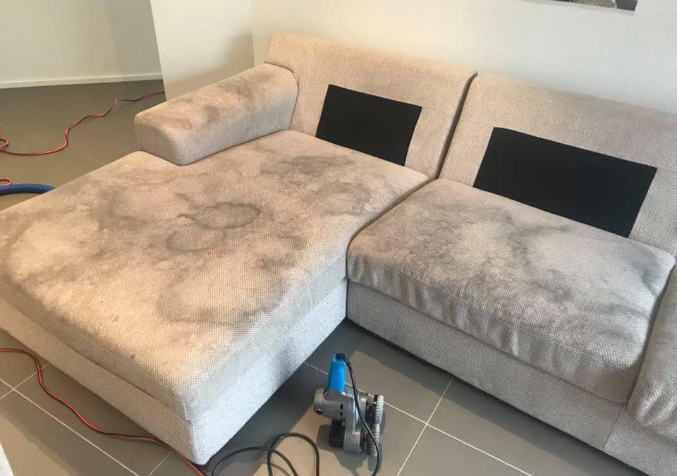 Upholstery Cleaning Near Me South Bend IN